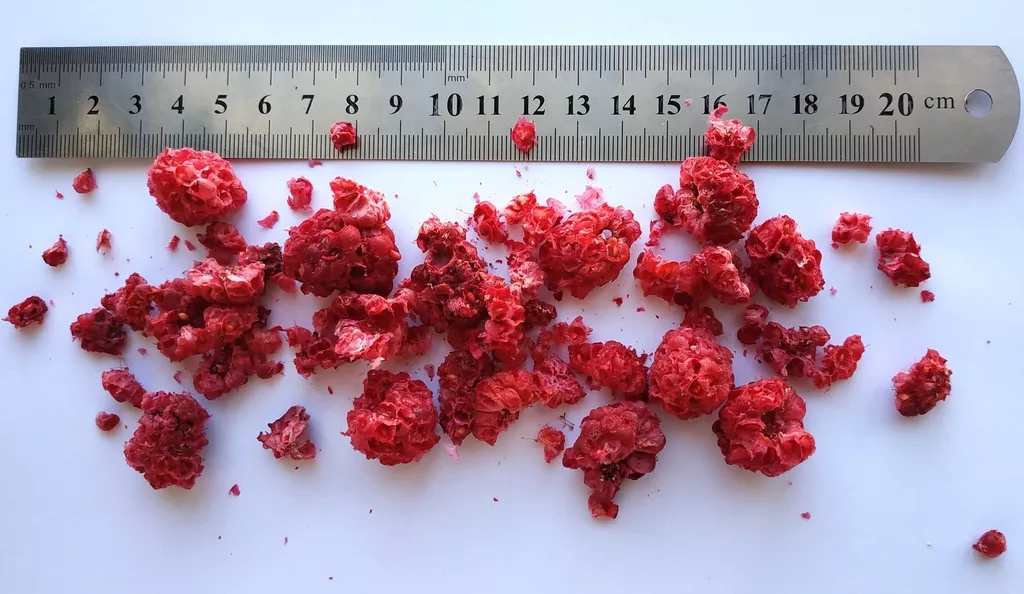сублимированные ягоды от производителя в Киргизии 10