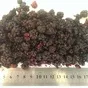 сублимированные ягоды от производителя в Киргизии 2