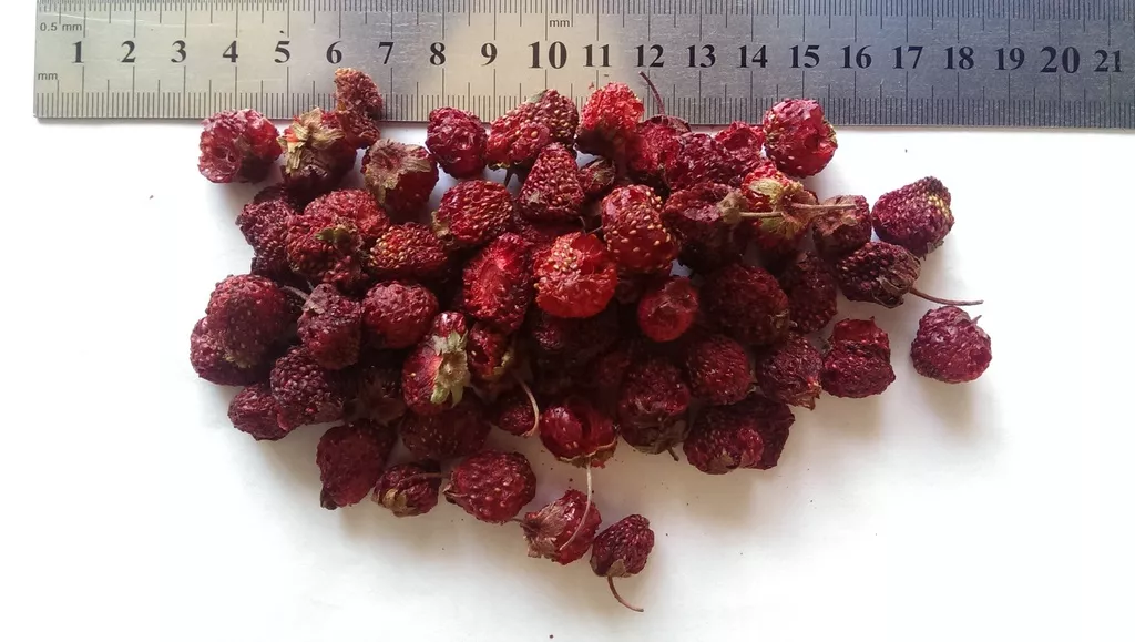 сублимированные ягоды от производителя в Киргизии 8