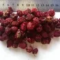 сублимированные ягоды от производителя в Киргизии 8