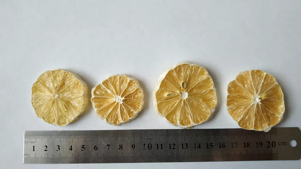 сублимированные ягоды от производителя в Киргизии 5