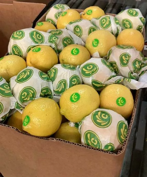 предлагаю лимон из аргентины в Аргентине