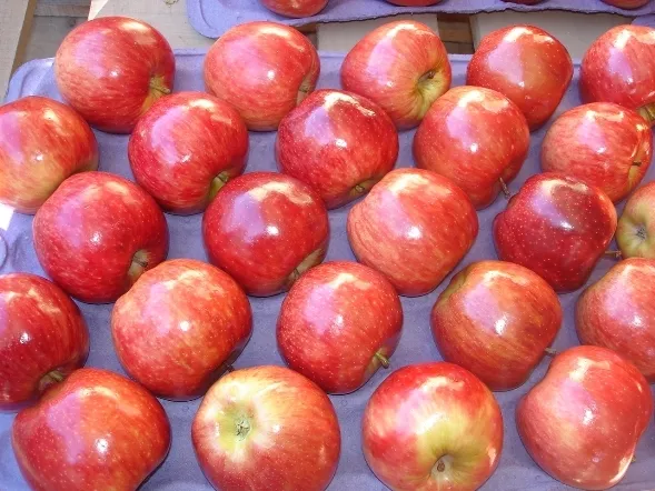 Фотография продукта Предлагаю яблоки из аргентины