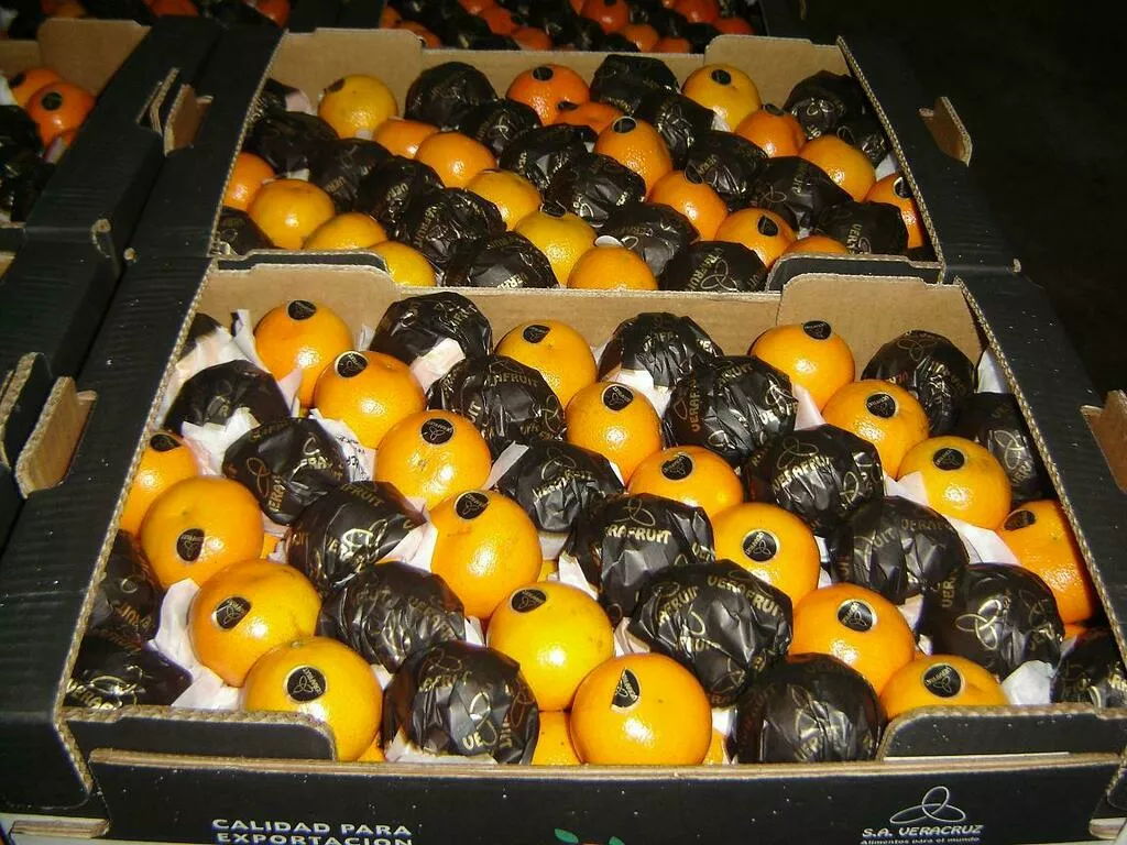 Фотография продукта Предлагаю мандарины из аргентины