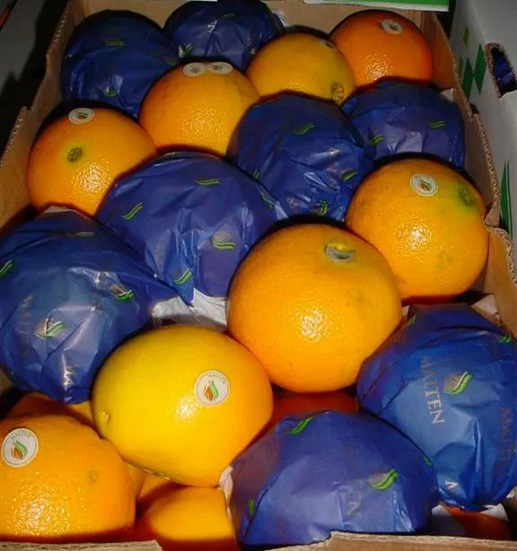 предлагаю апельсин из аргентины в Аргентине