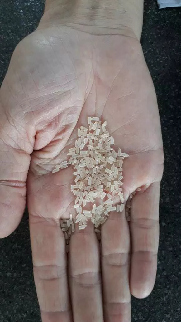 белый рис из индии от производителя в Индии 10