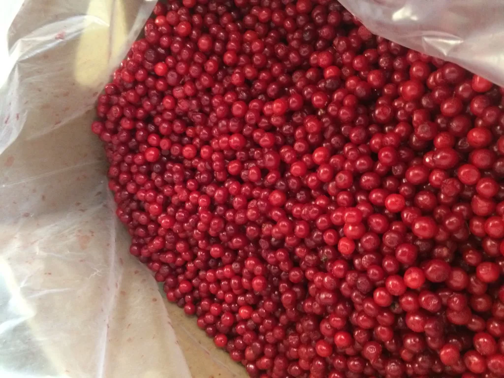 красника в Южно-Сахалинске 3