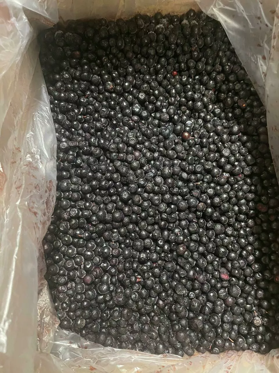 фотография продукта Черная смородина зам россия