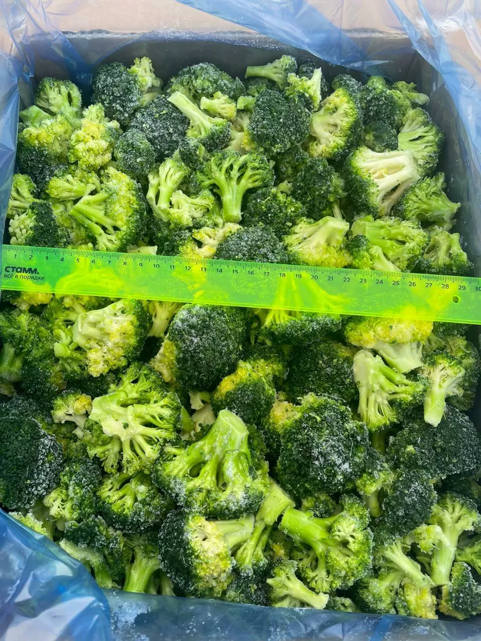 Фотография продукта Брокколи с/м россия фасовка 