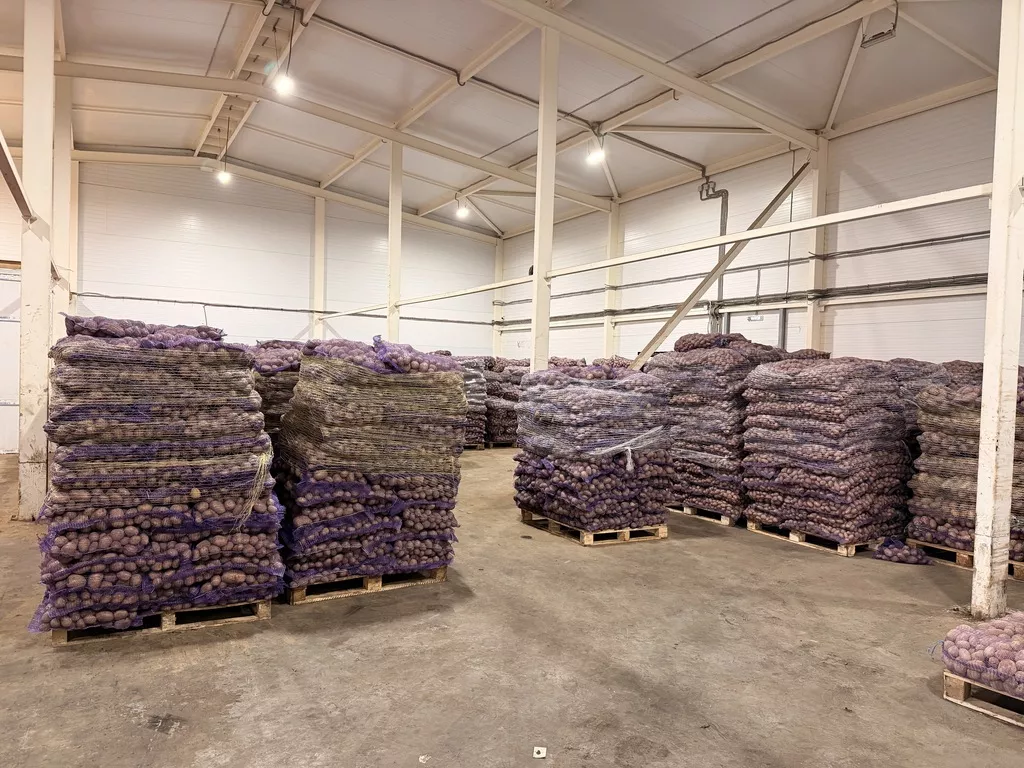 фотография продукта Картофель оптом от производителя