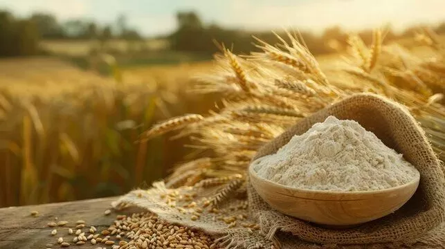 Фотография продукта Продаем отруби пшеничные 