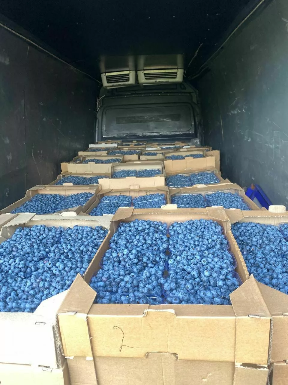 фотография продукта Голубика из грузии 480 руб.