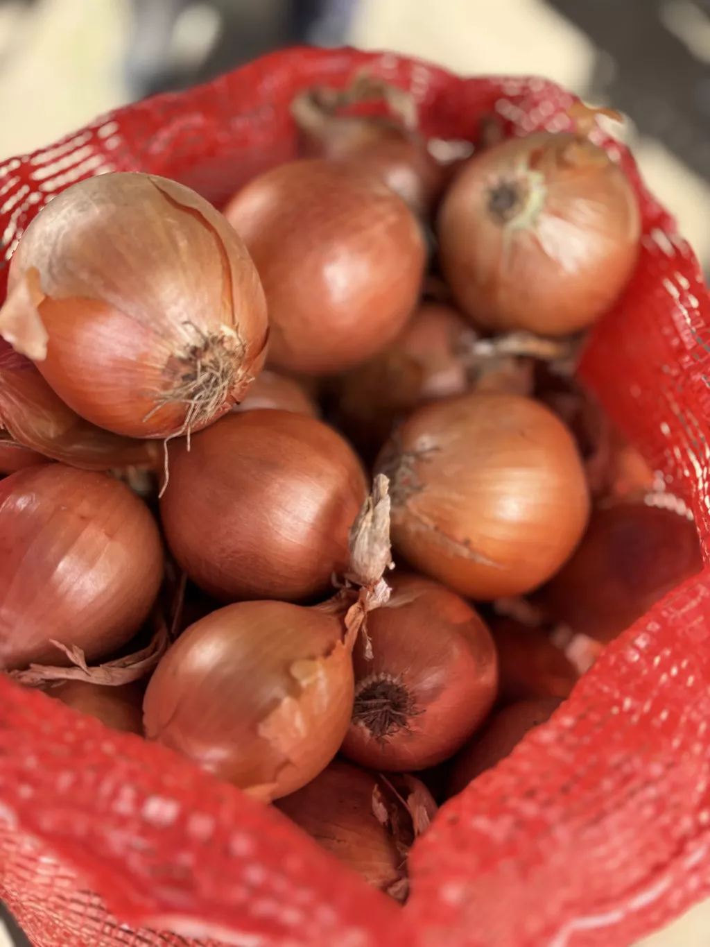Фотография продукта Лук репчатый оптом от производителя