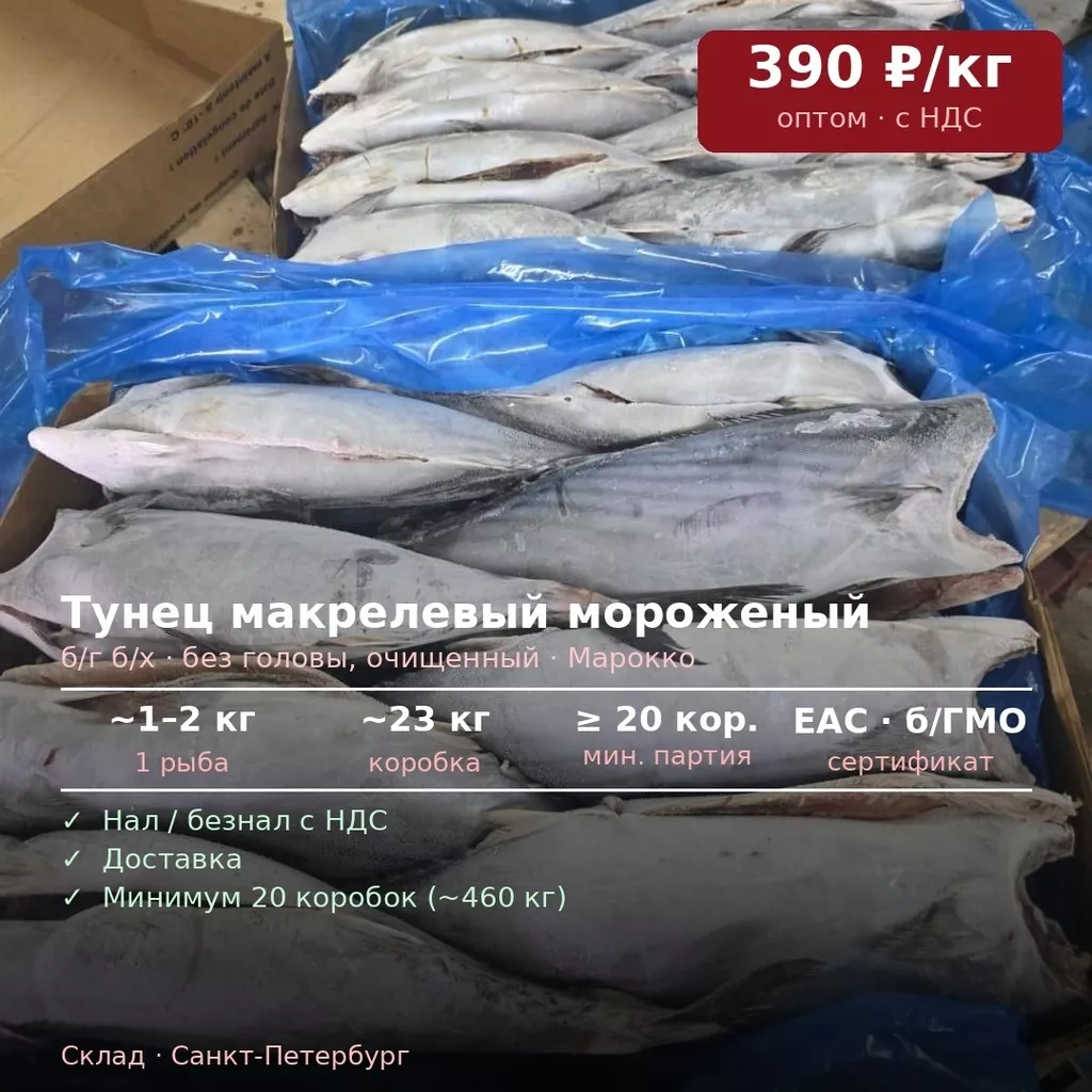 Фотография продукта Свежемороженый тунец (tuna bonito hgt) 