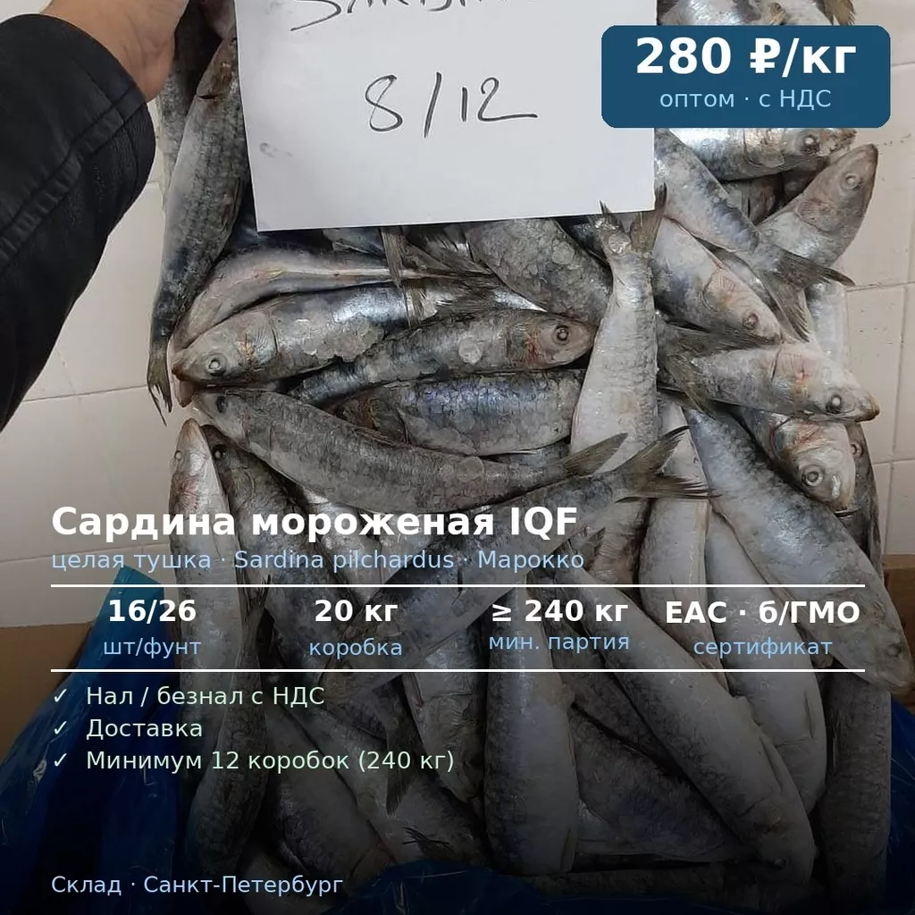 Фотография продукта Свежемороженая сардина