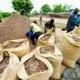 какао бобы (cocoa beans) в Москве 2
