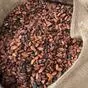 какао бобы (cocoa beans) в Москве