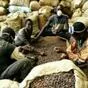 какао бобы (cocoa beans) в Москве 3