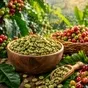 зелёный кофе robusta из вьетнама оптом  в Москве