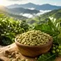 зелёный кофе arabica из вьетнама  в Москве
