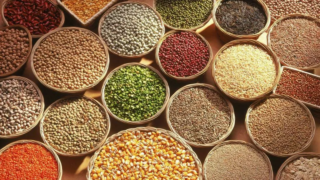 фотография продукта Зерновые и масличные культуры 