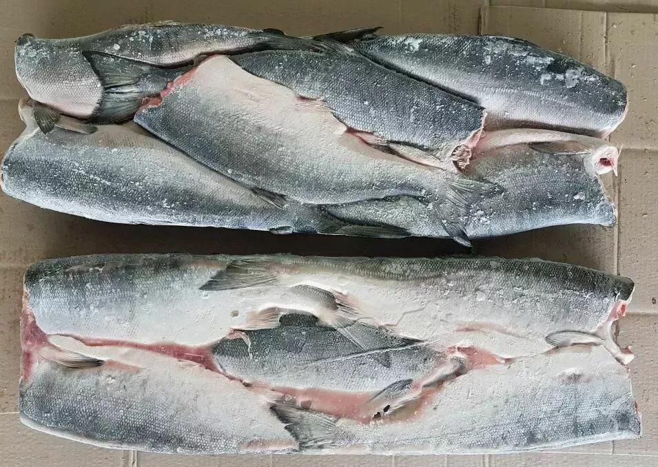 фотография продукта Кижуч пбг