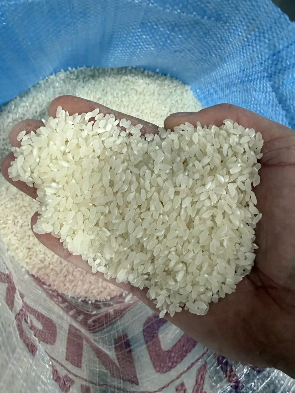 фотография продукта Рис крупа 