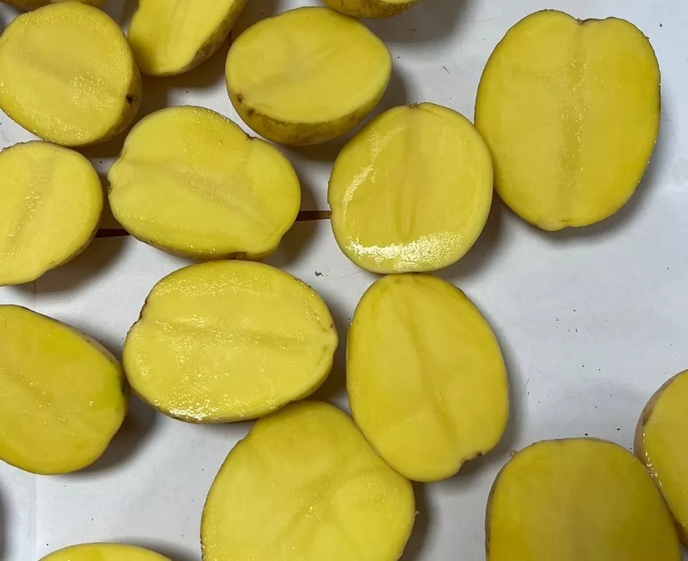 фотография продукта Картофель чипсовый урожай 2026г
